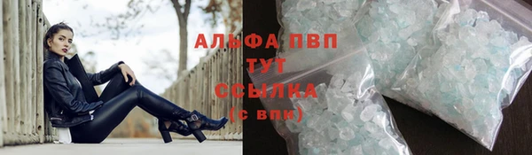 ПСИЛОЦИБИНОВЫЕ ГРИБЫ Сатка