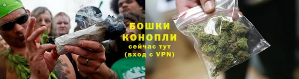 ПСИЛОЦИБИНОВЫЕ ГРИБЫ Сатка
