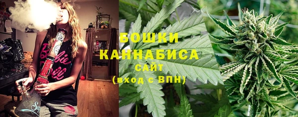 ПСИЛОЦИБИНОВЫЕ ГРИБЫ Сатка