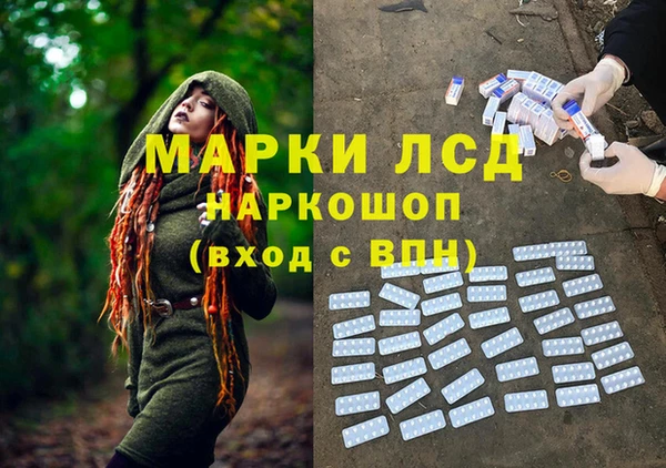 ПСИЛОЦИБИНОВЫЕ ГРИБЫ Сатка