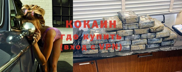 ПСИЛОЦИБИНОВЫЕ ГРИБЫ Сатка
