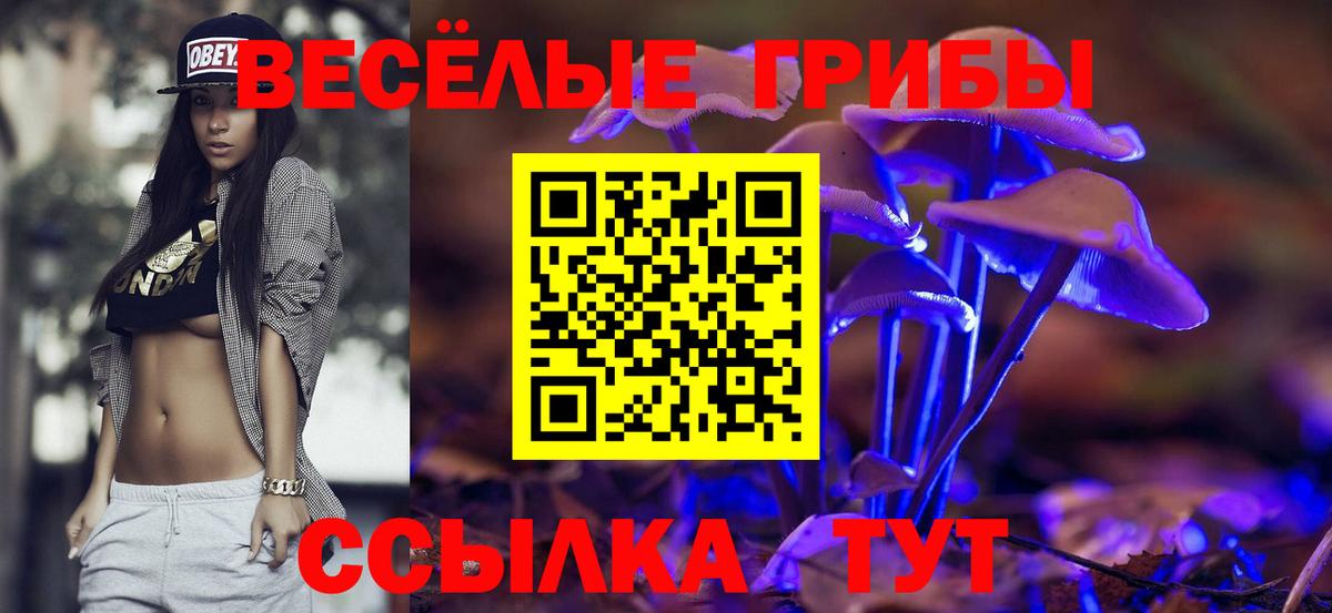 Псилоцибиновые грибы Psilocybine cubensis  Вход с VPN  наркотики  Среднеуральск 