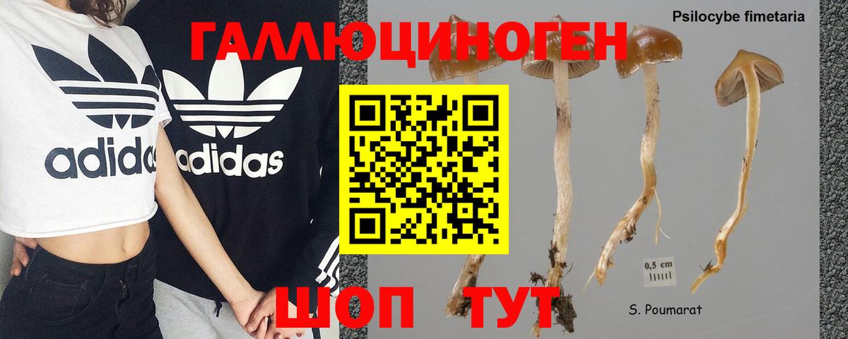 Псилоцибиновые грибы ЛСД Среднеуральск